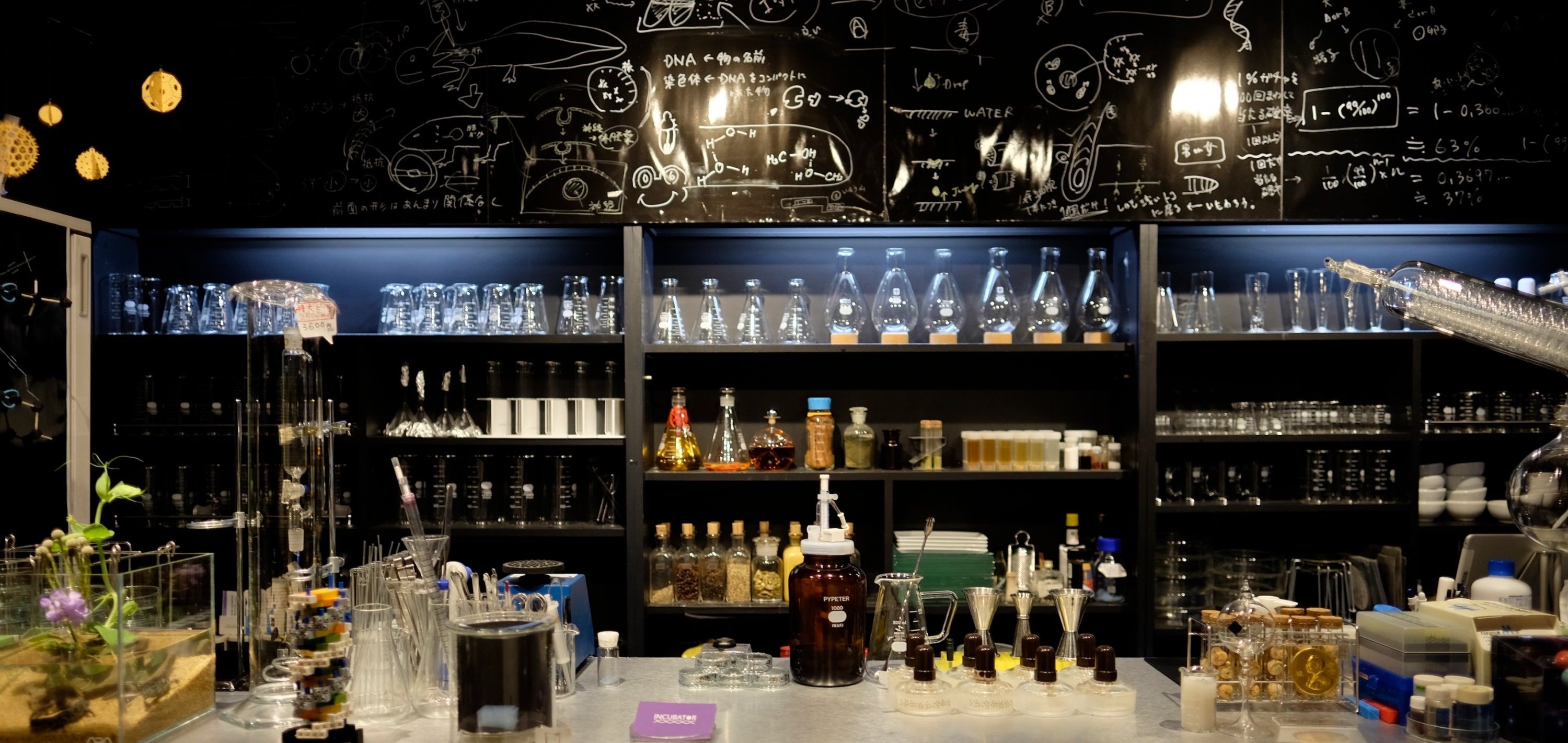 ScienceBar INCUBATORのバックバーと実験器具が並ぶ店内